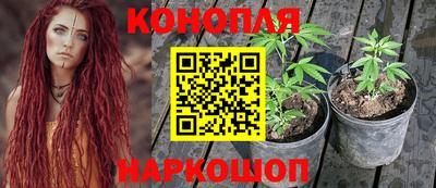 ПСИЛОЦИБИНОВЫЕ ГРИБЫ Гатчина