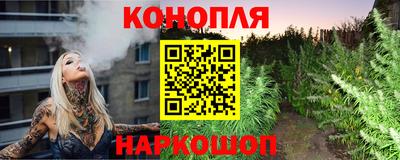 ПСИЛОЦИБИНОВЫЕ ГРИБЫ Гатчина