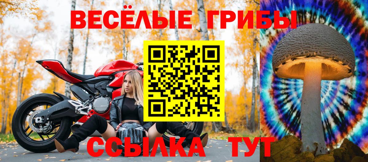 Кандалакша  Галлюциногенные грибы ЛСД  Галлюциногенные грибы мицелий  Вход с VPN 